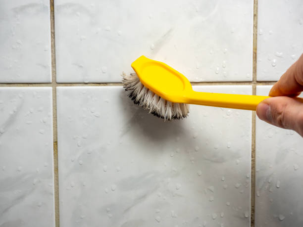 Best Toxic Mold Removal  in Hettinger, ND