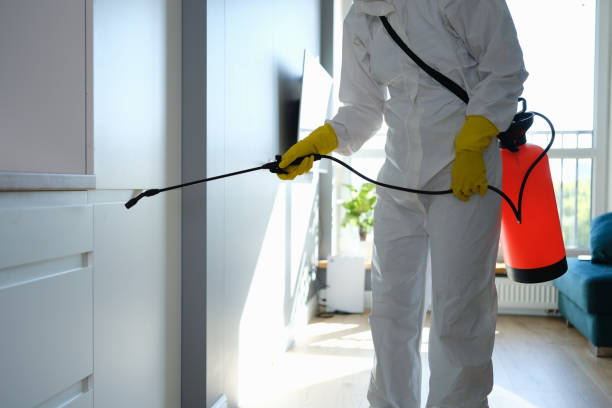 Best Commercial Mold Removal  in Hettinger, ND