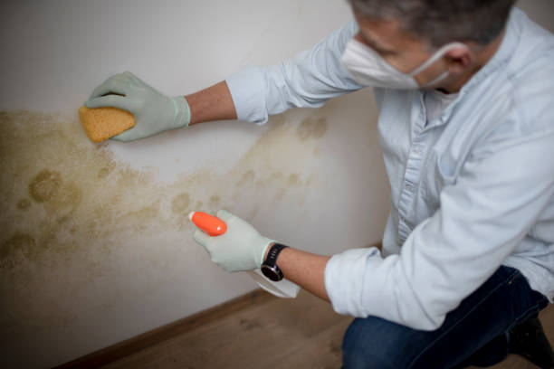 Best Mold Testing  in Hettinger, ND