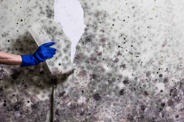 Water Damage Restoration in Hettinger, ND